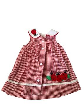 Rare Editions Red White Gingham Ladybug Appliqué Dress